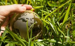 Investors demand more ESG focus from small and micro caps